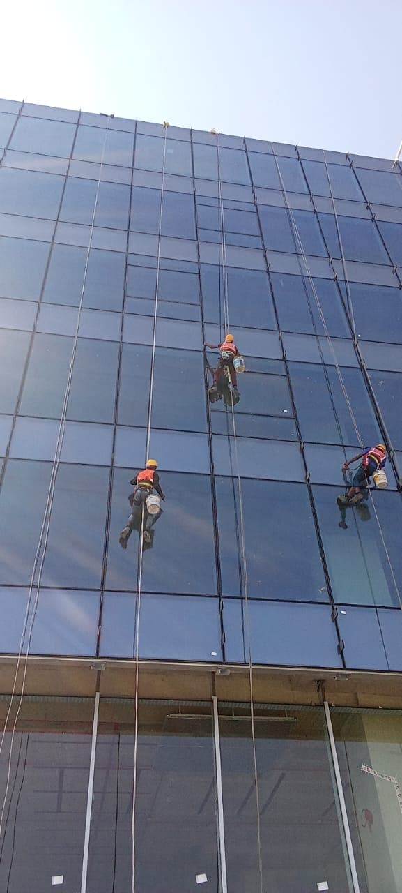 Full Curtain Wall Glazing Restoration